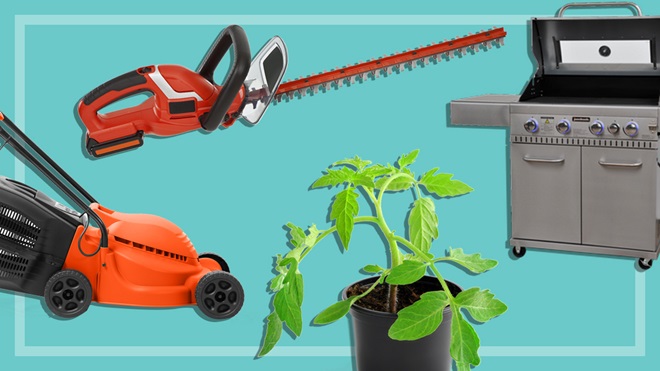 best buys at bunnings plants lawn mower line trimmer bbq
